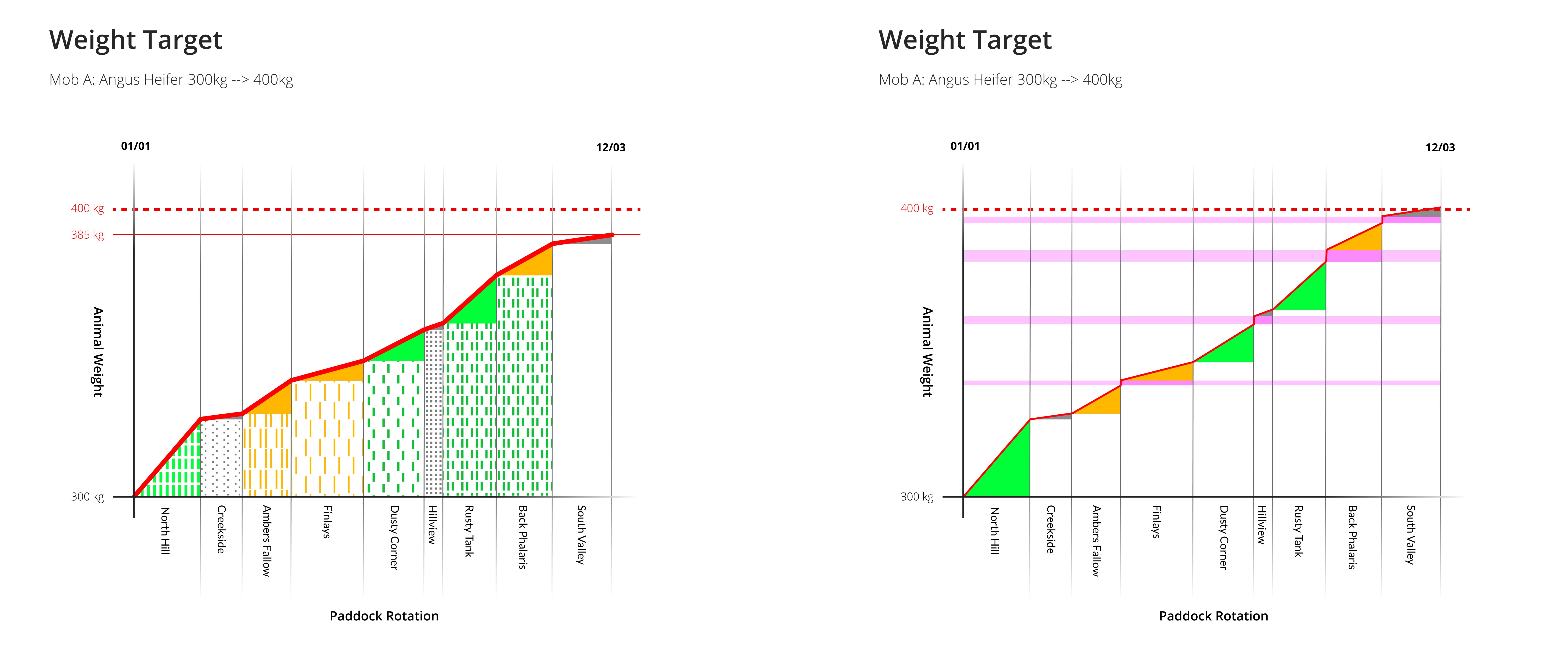 Weight gain graph